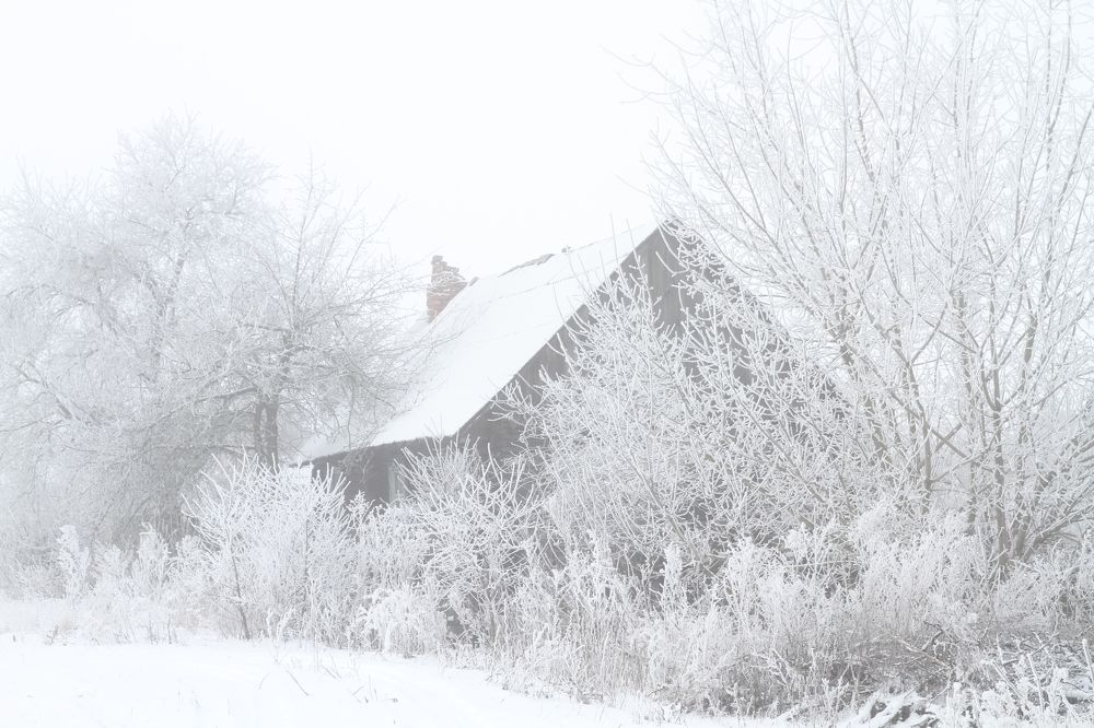 Photograph by Sergey Key