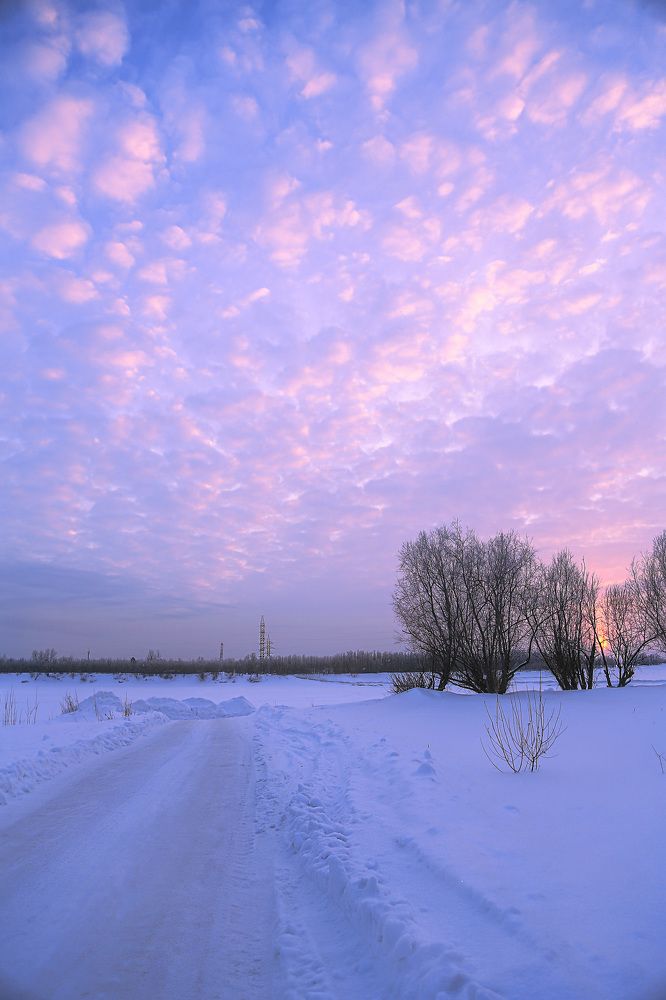 Фотография автора Елена Разина