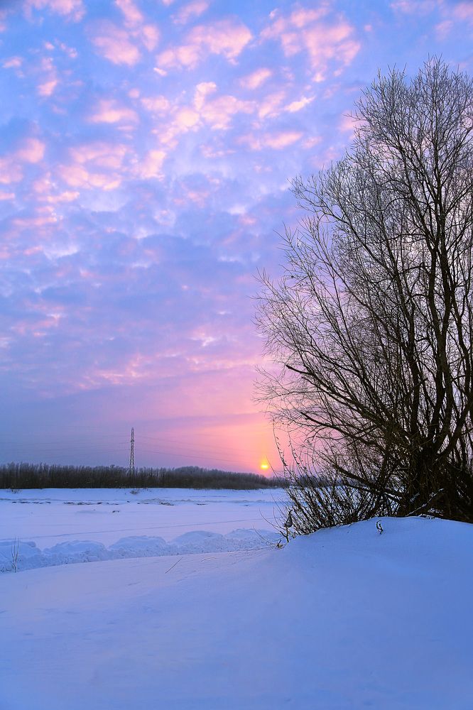 Фотография автора Елена Разина