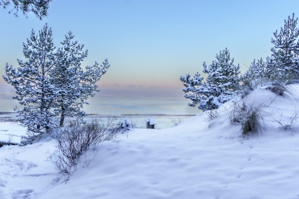 Photograph by Valdis Serzhans