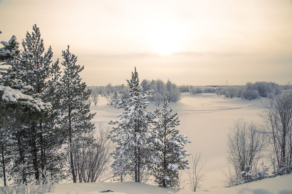 Фотография автора Елена Разина