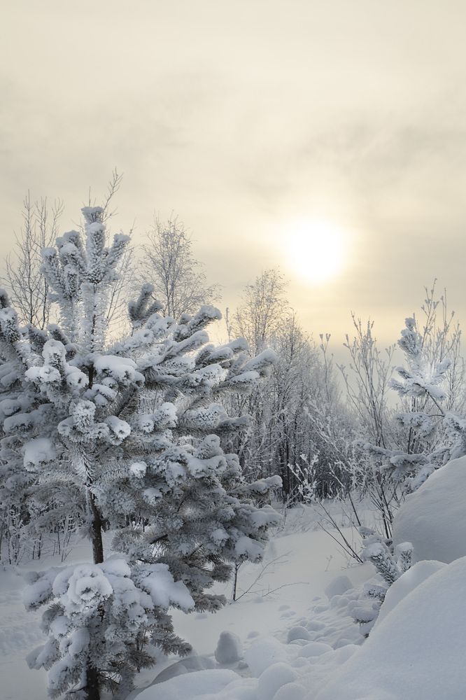 Фотография автора Елена Разина
