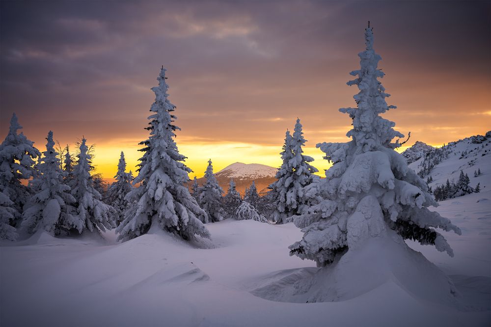 Photograph by Уфимцев Юрий