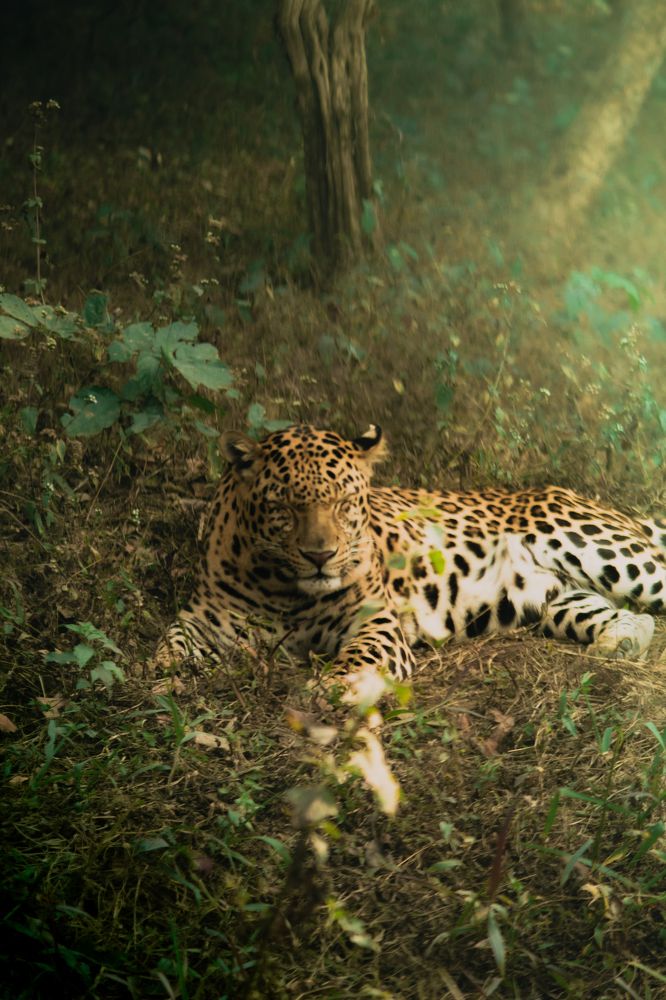 Photograph by Krish Bagri