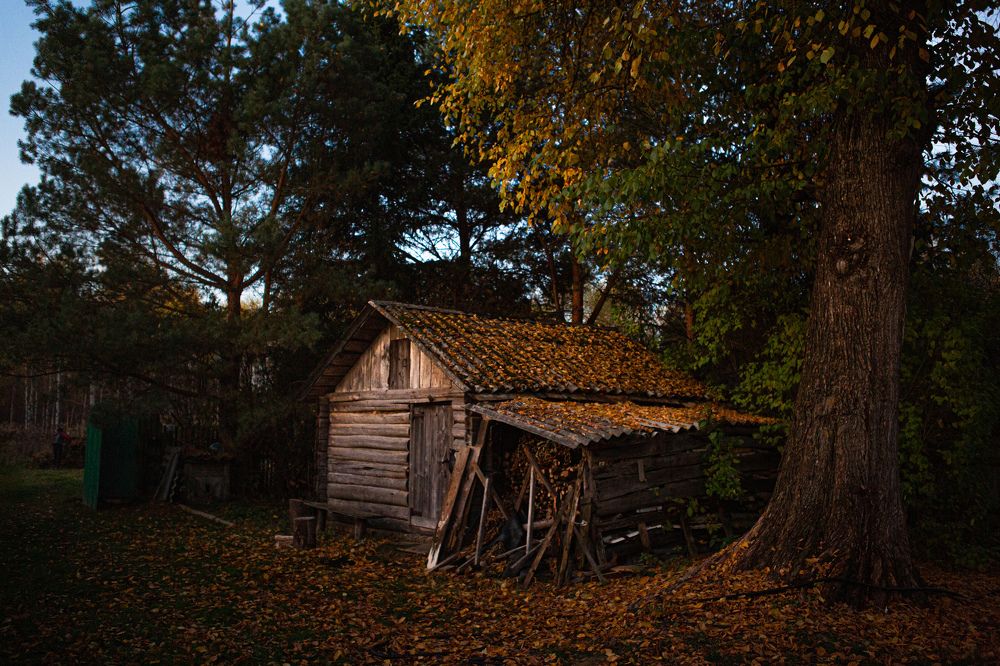 Photograph by Александр Шемятенков