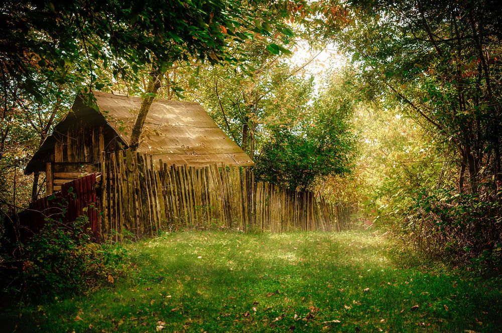 Photograph by Виталий Каргопольцев