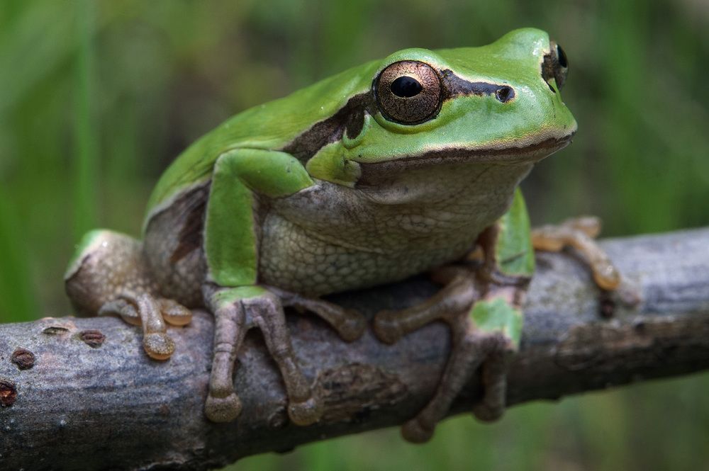 Photograph by Лена Максимкина