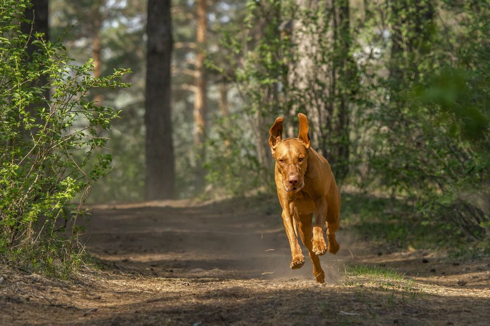 Photograph by Эльнара Васифовна