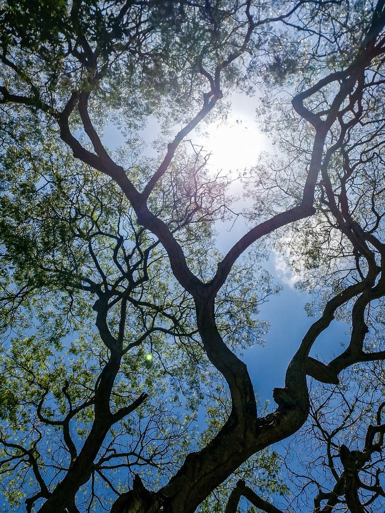 Photograph by Antonio Alves de Oliveira Neto