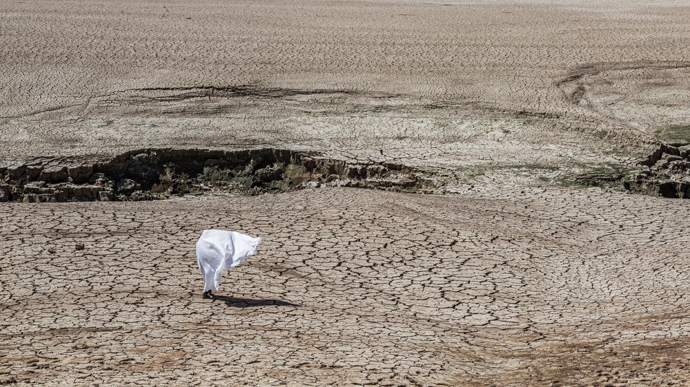 Photograph by seyed mostafa yousefi