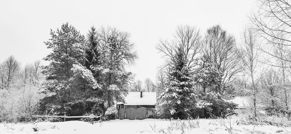 Photograph by Александр Шемятенков