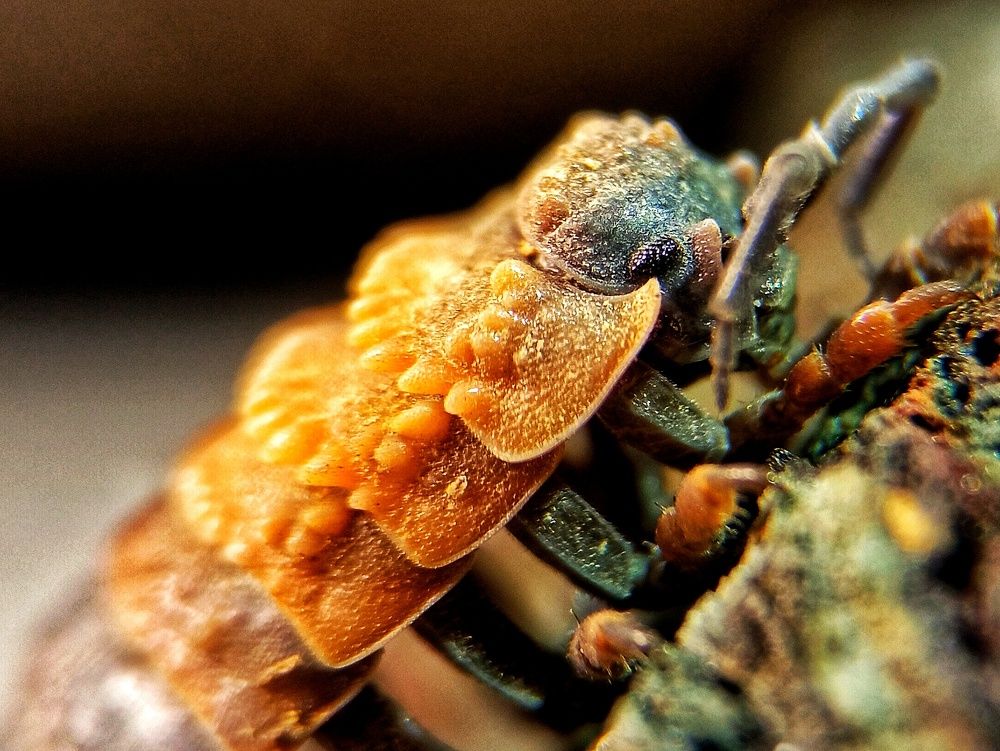 Фотография автора Mahdi Mohammadi