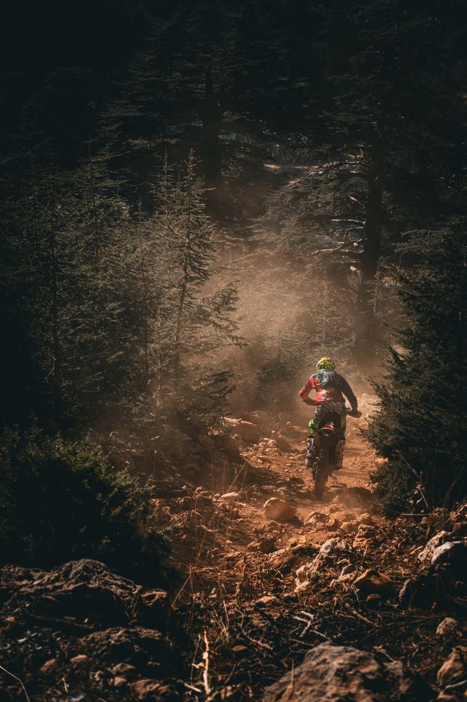 Фотография автора Oleg Gurev