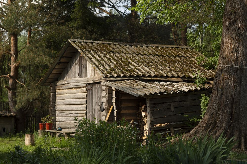 Photograph by Александр Шемятенков