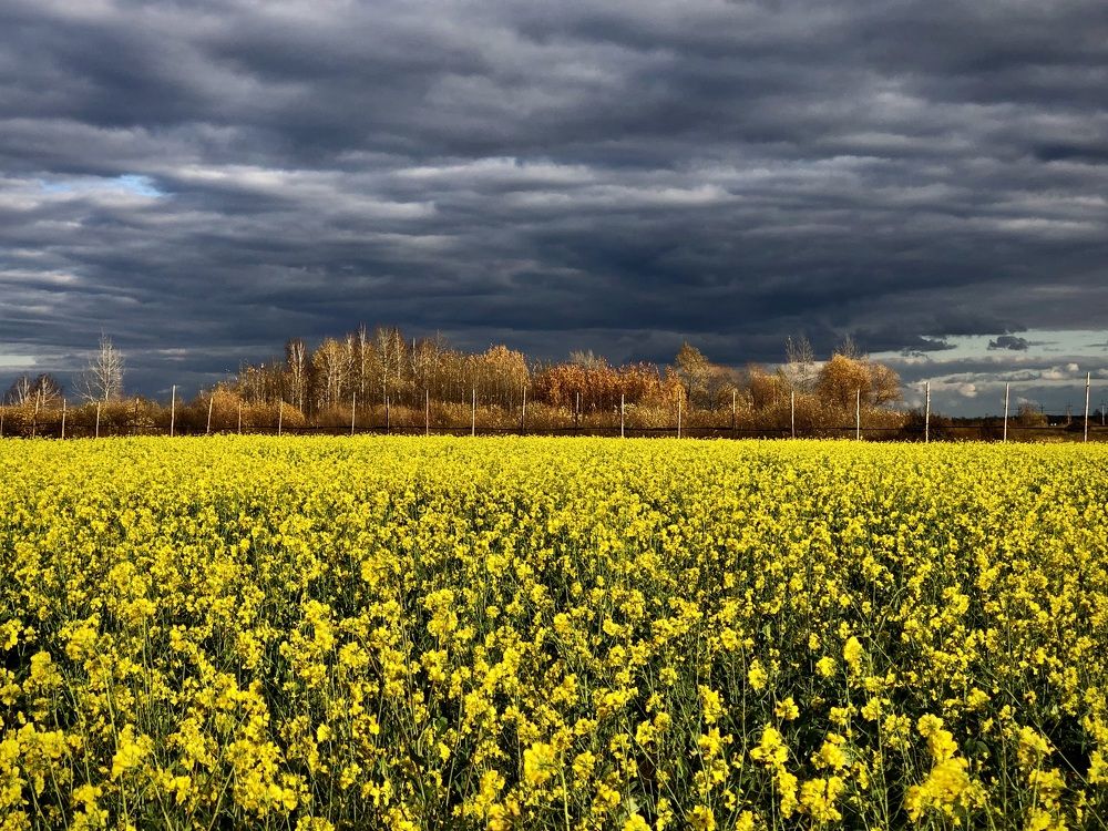 Фотография автора Евгения Елисеева