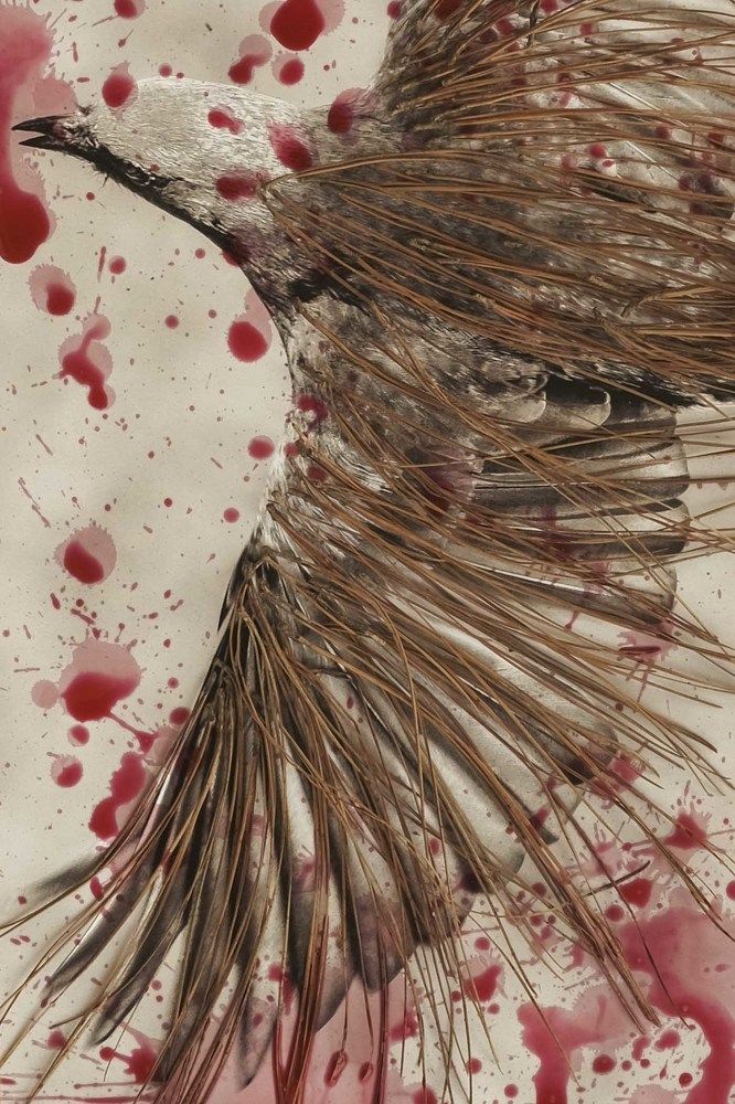 Photograph by Claudia Moraes