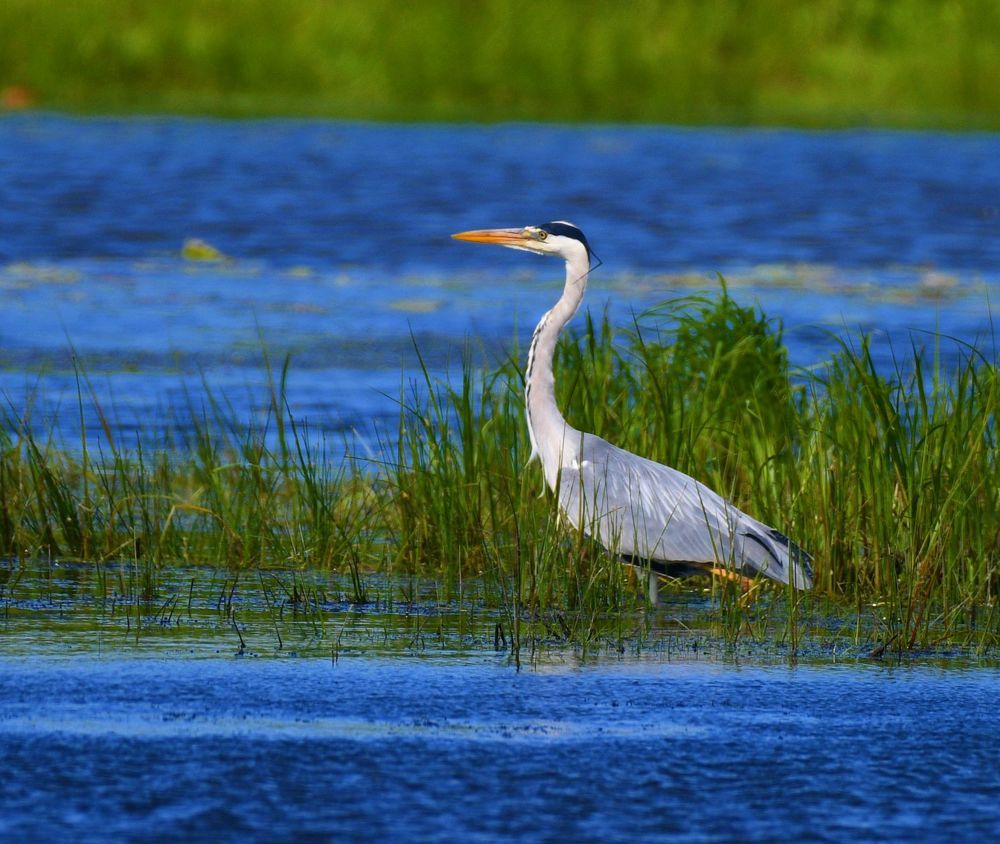 Photograph by Николай Абакумов