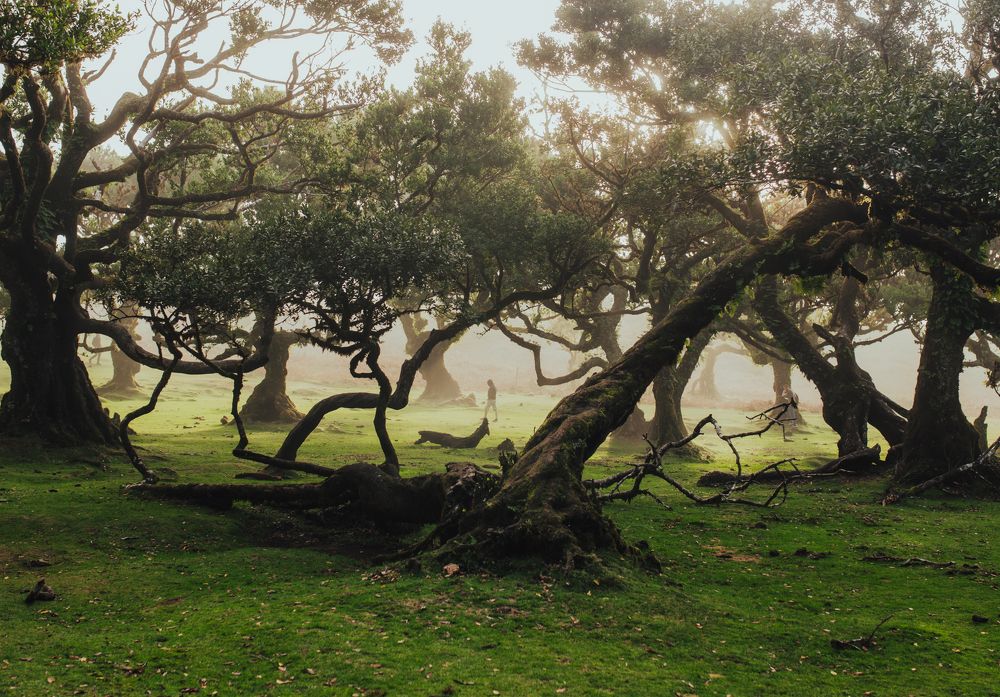 Photograph by Dawid Ostapkiewicz