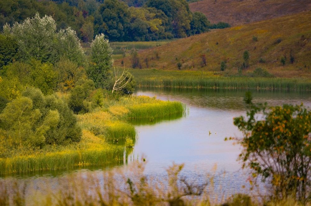 Фотография автора Irina Vornacheva