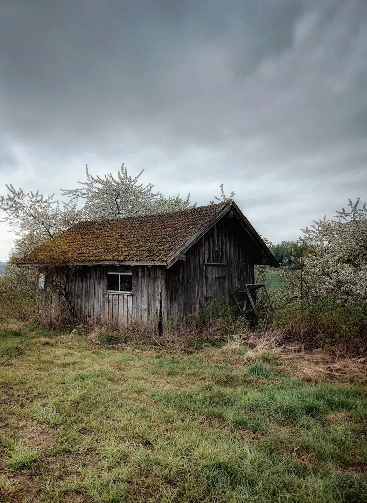 Фотография автора Alina Filimonova