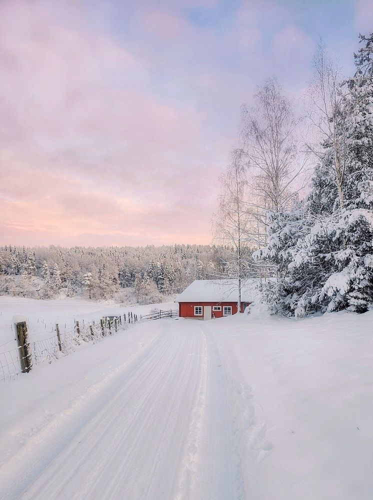 Фотография автора Alina Filimonova