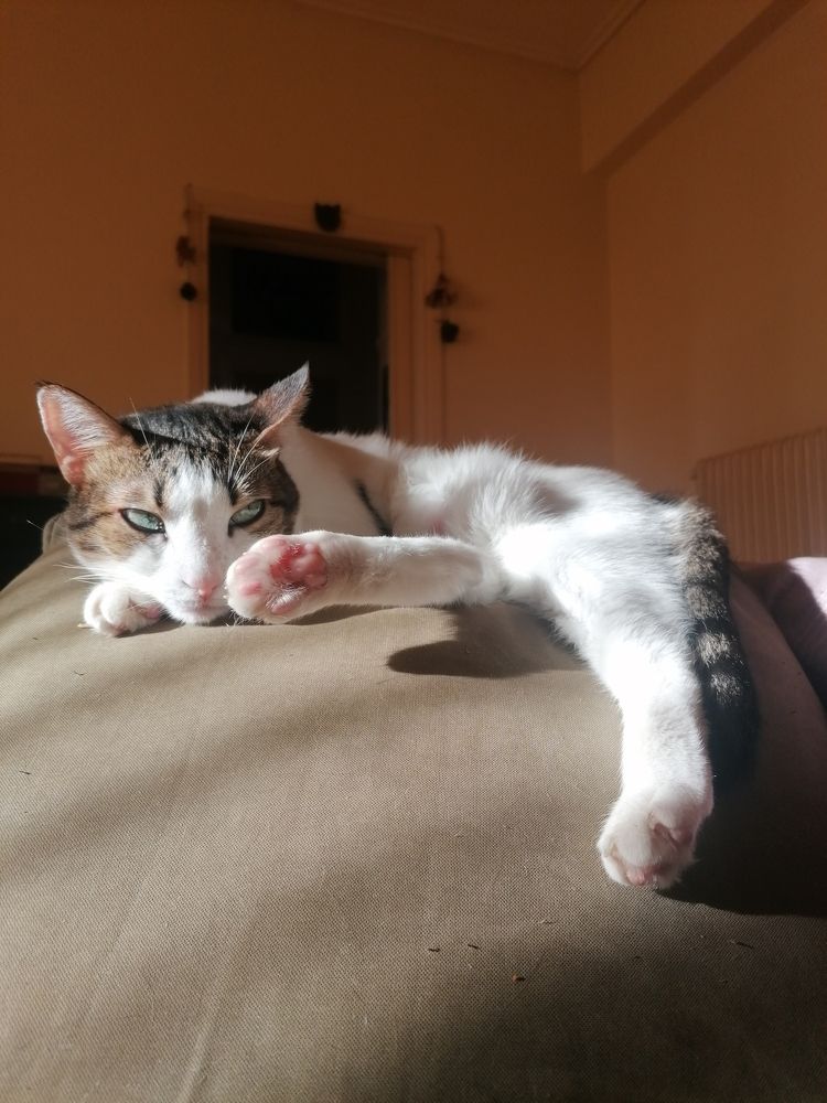 Photograph by Maria Chami