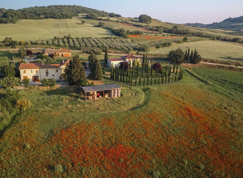 Photograph by Дария Максимова