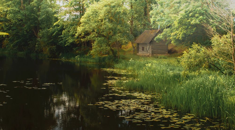 Фотография автора Aлексей Игнатьев