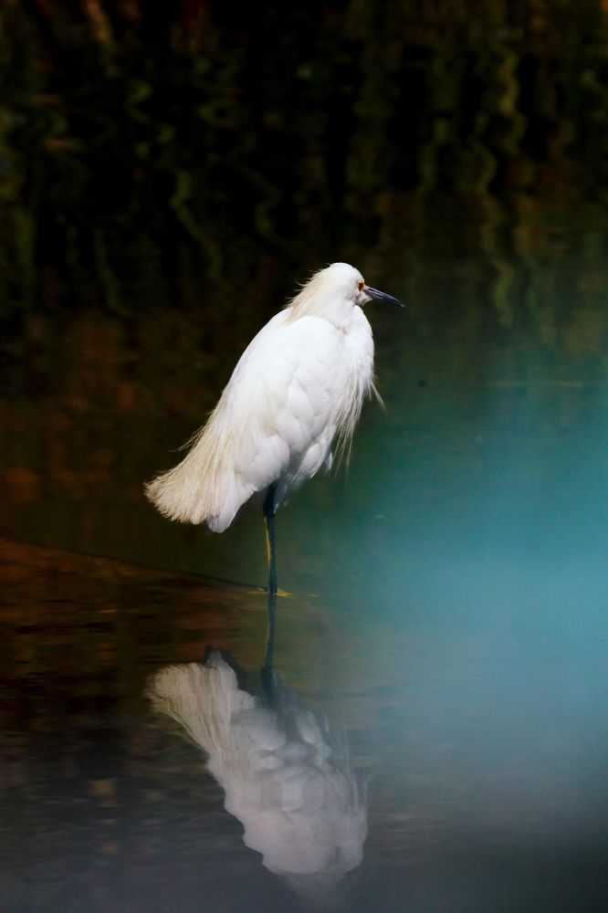 Photograph by Ricardo Vergara