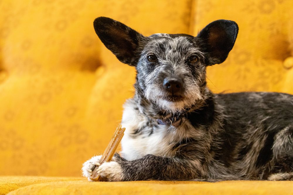 Photograph by Илья Сторожко