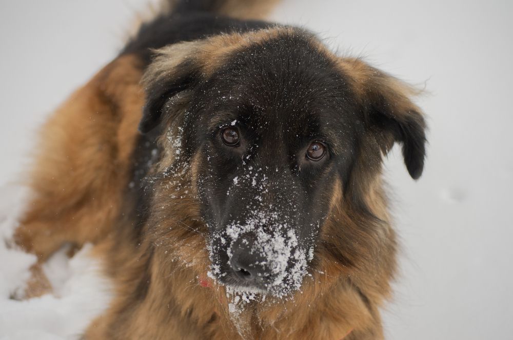 Фотография автора Ritus20018