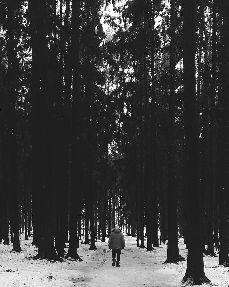 Photograph by Светлана Таркан