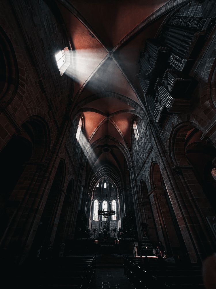 Фотография автора Talal Abodeshish