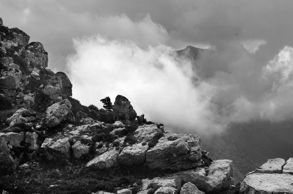 Photograph by Дерезюк Юрий Александрович