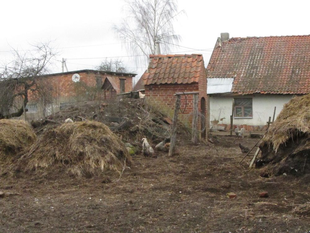Photo #10309320