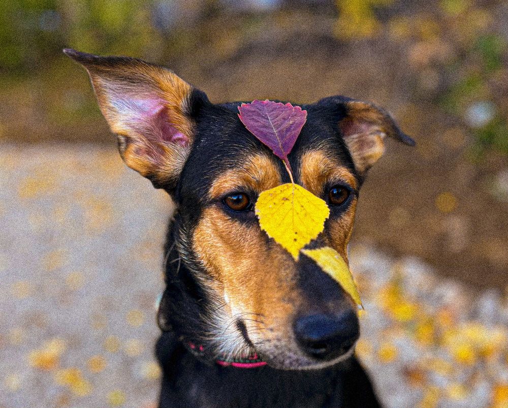 Photograph by Анна