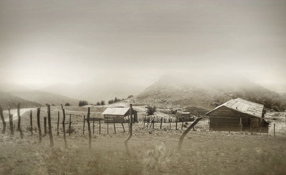 Photograph by MMD HORANFAR