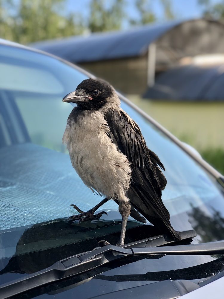 Фотография автора Евгения Елисеева
