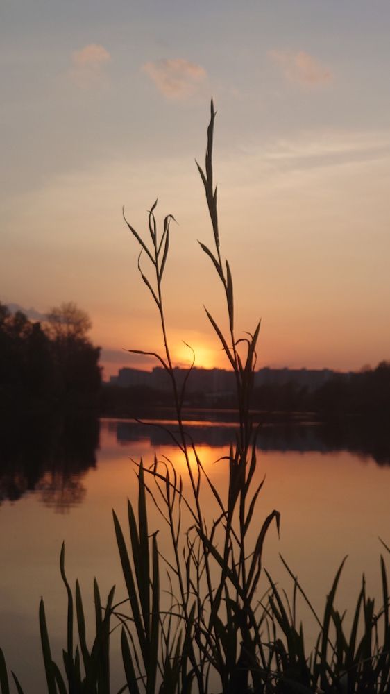 Photograph by Наталия Игоревна