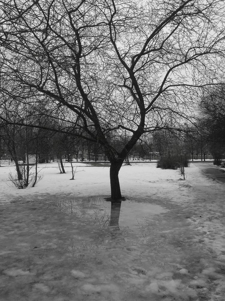 Photograph by Светлана Таркан