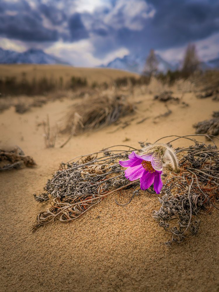 Photograph by Полякова Наталия