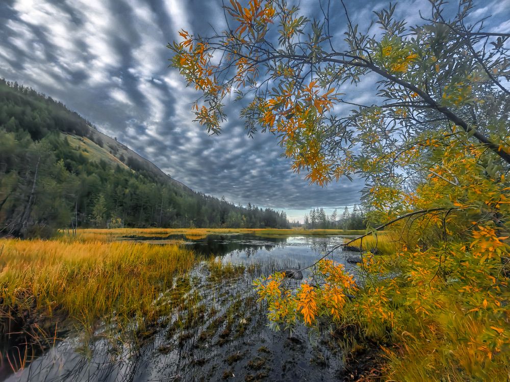 Photograph by Полякова Наталия