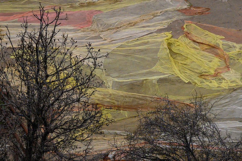 Photograph by Бахтадзе Дмитрий