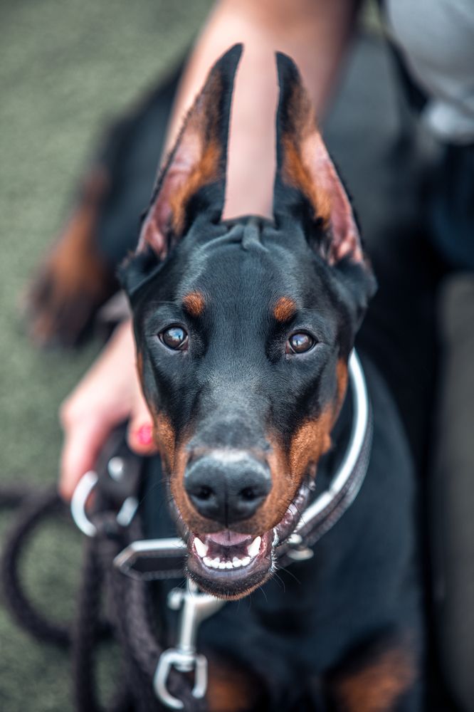 на страже порядка