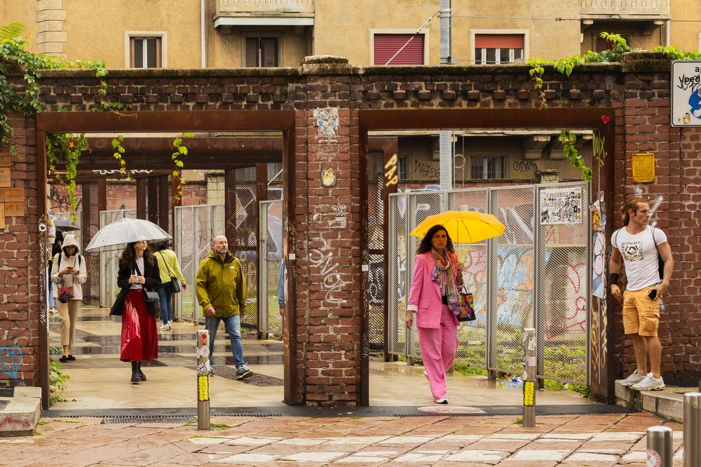 Миланские зонтики