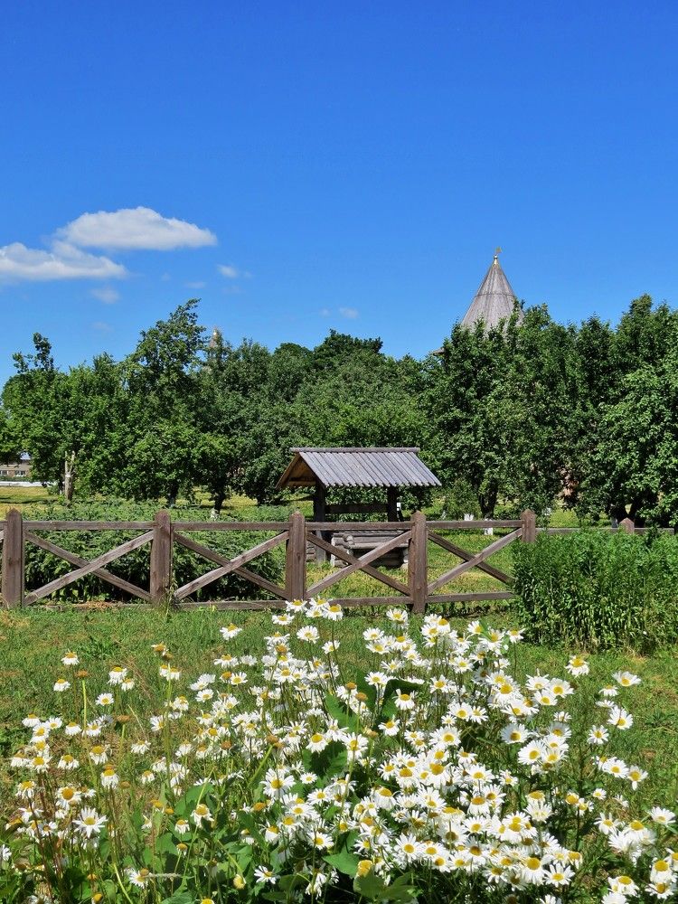 Photograph by Светлана Башаева