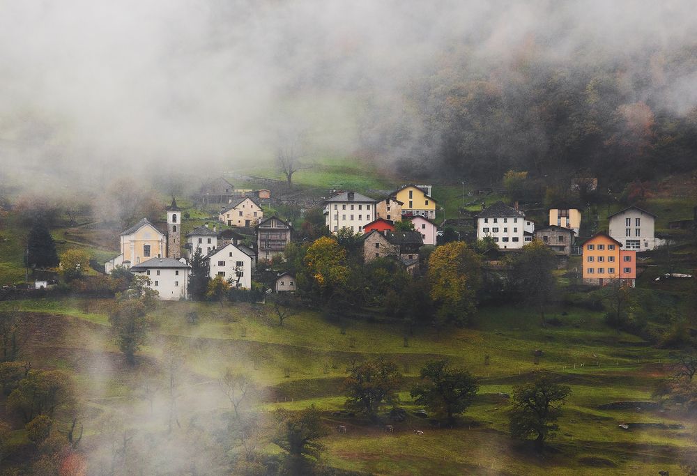 Фотография автора Alex POLLI