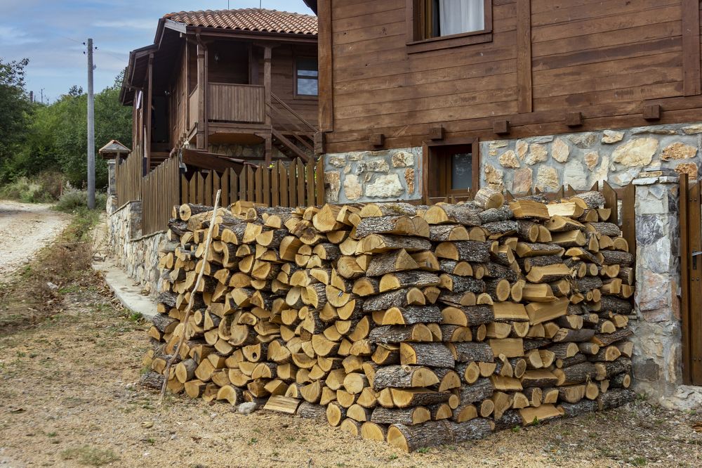 Photograph by Semion Ribinik