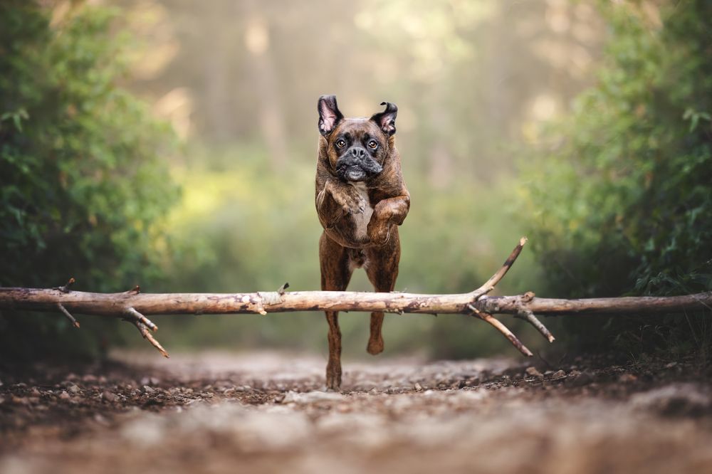 Фотография автора Rut Casanellas