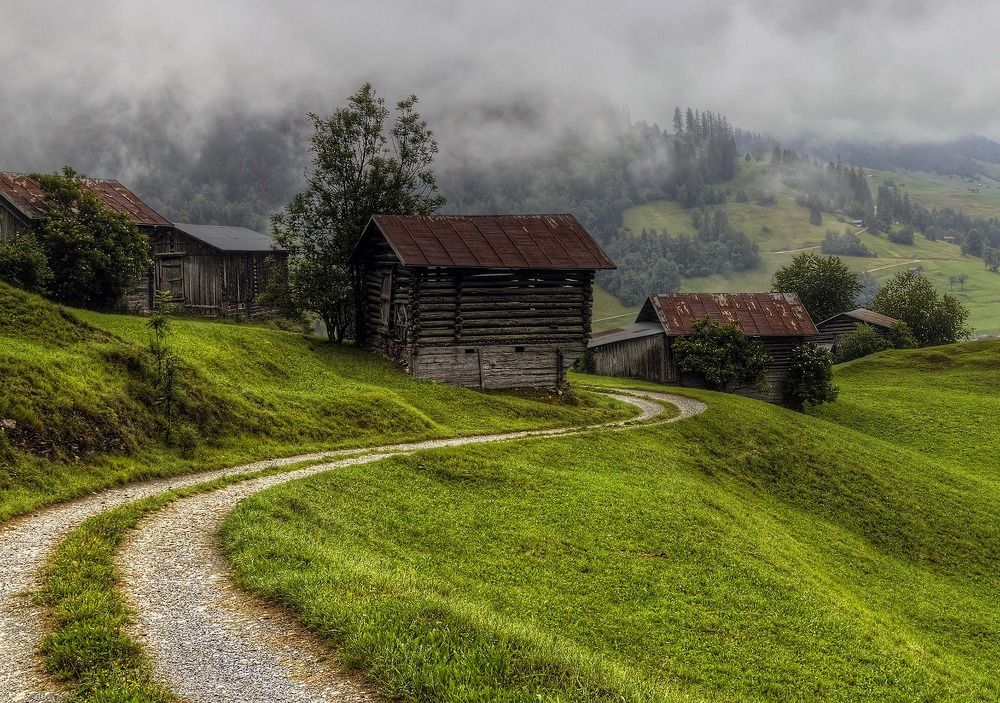 Photograph by Alex POLLI